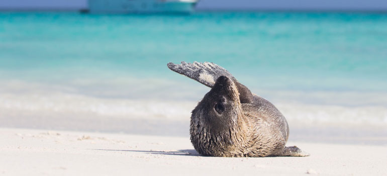 Galápagos obtiene galardón turístico en Shanghái - China