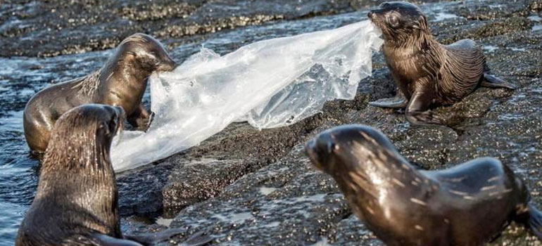 Galápagos le dice adiós a los plásticos